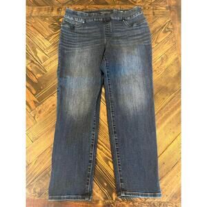 Chicos Women 14 Pull On Ankle Jeggings Elastic Academia Plus size Comfy Casual